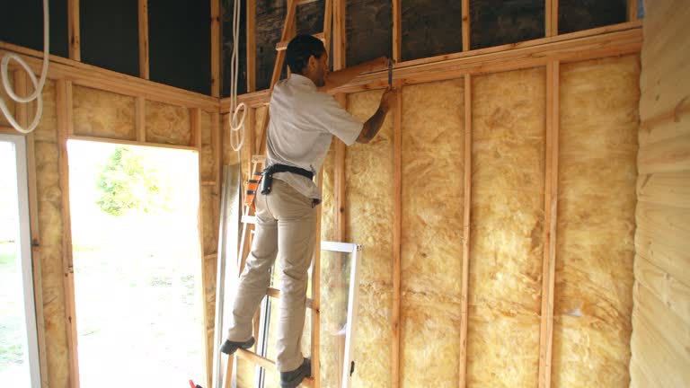 Best Spray Foam Insulation  in Carolina Beach, NC